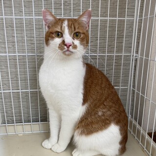 みんなに優しいルイ君です‪‪❤︎‬