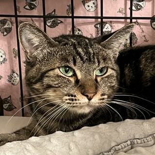 【4/5三田】お留守番もできる仲良し親子ペア