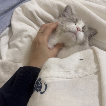寝る時はいつも一緒