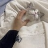 寝る時はいつも一緒