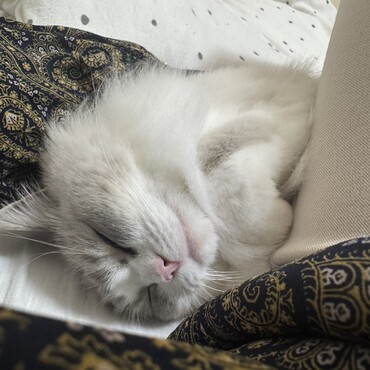 ねんね