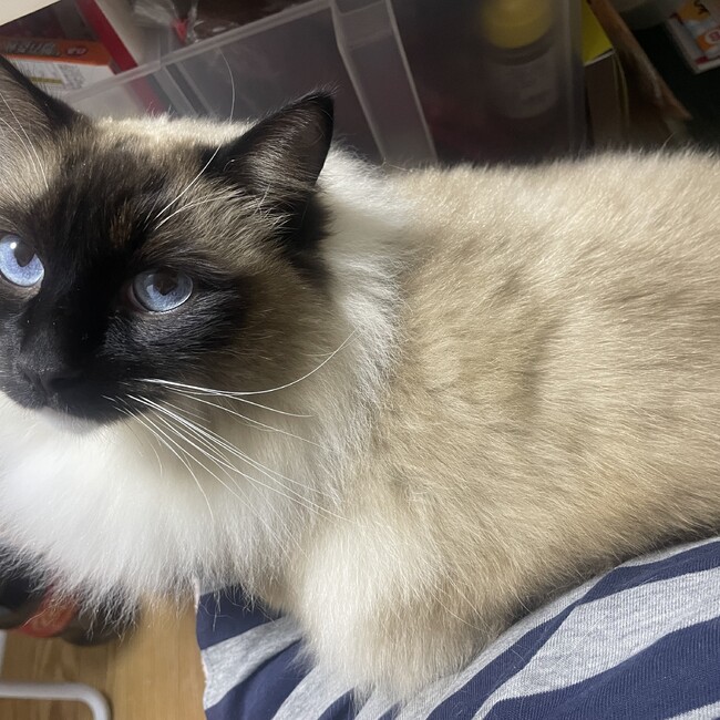 うに0617のカバー写真