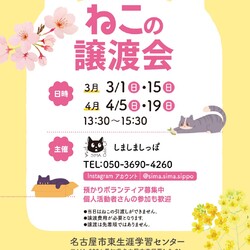 しましましっぽ譲渡会☆東区葵