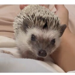 「我が家に来て約1ヶ月」サムネイル1