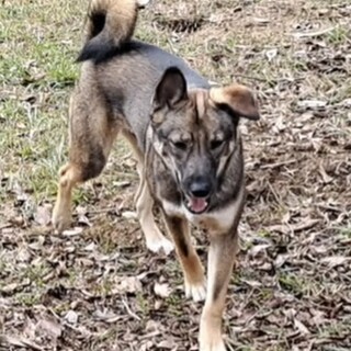 意外に頼もしい男の子