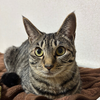 4/5高田馬場★苺ちゃん★上目遣いが可愛い