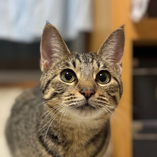 4/5高田馬場★ぼんくん★無邪気で甘えん坊