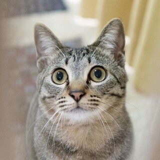 3/22高田馬場★らいむぎくん★おしゃべりBOY