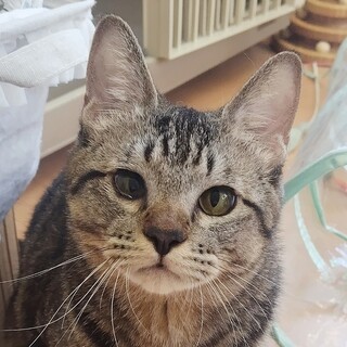 3/22高田馬場★慈雨くん★ゆるーい男の子