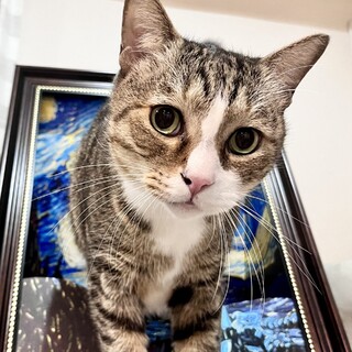 4/5高田馬場★でかちびくん★ナデナデ命