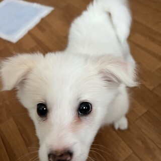 「ねえねえ！遊んでくれる？」人が大好きな男の子