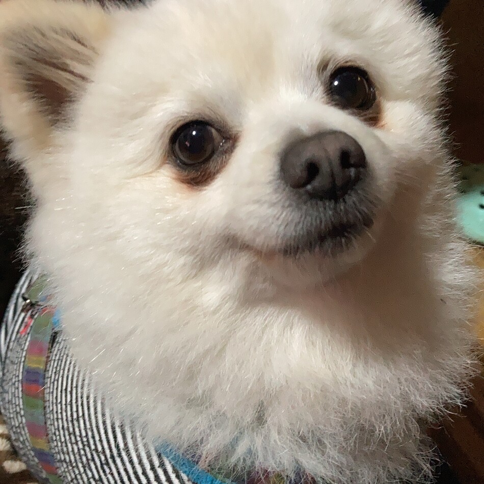 睦（あつし）のカバー写真