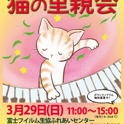 保護猫の里親会＠南足柄