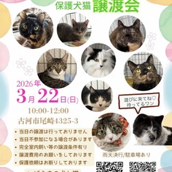 保護犬猫☻譲渡会　@古河市