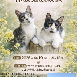 【さいたま市見沼区】4/19(日)ハレノテラス保護猫譲渡会