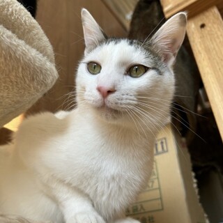 甘えん坊で遊ぶのも大好き！アーニーくん！