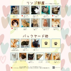 動物病院の保護猫譲渡会 サムネイル3