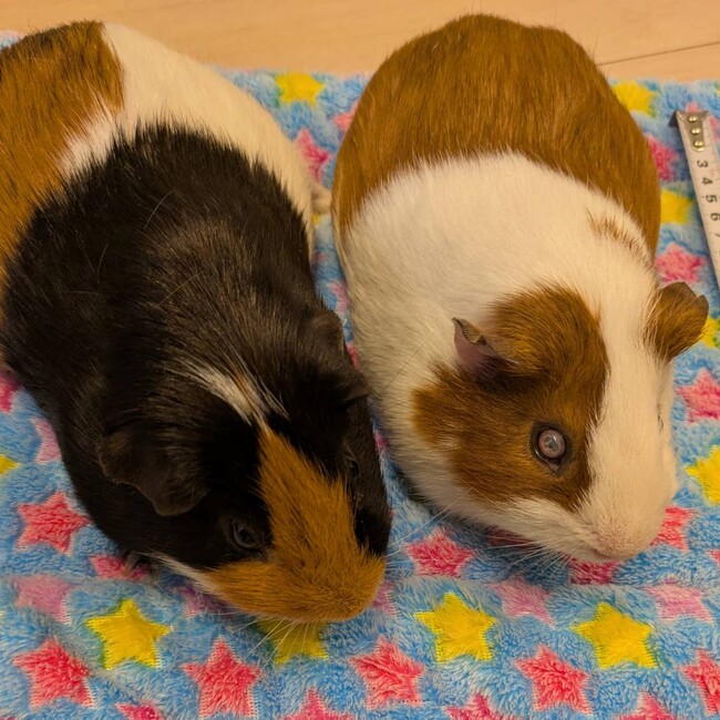 西新宿のカバー写真