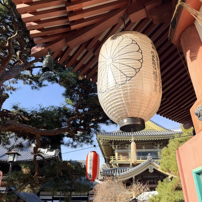 キセニアのカバー写真