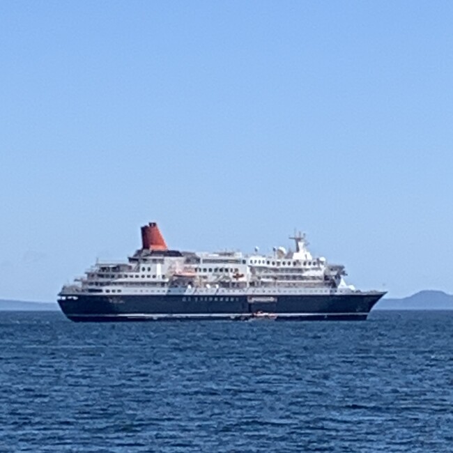 suzusappのカバー写真