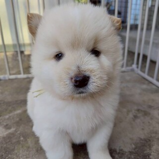 優介(旧サン)くん