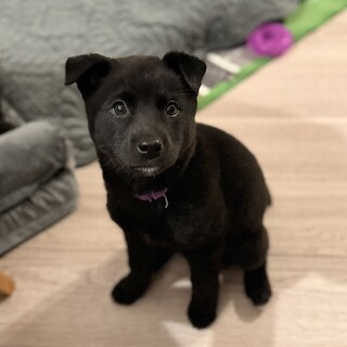 私が1番な「まいちゃん」