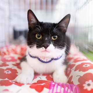 4/5高田馬場★ふじちゃん★人が大好き甘々女子