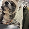 そらもな