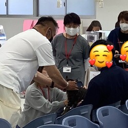 保護猫譲渡会Cat'seye サムネイル2