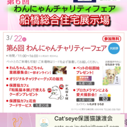 保護猫譲渡会Cat'seye船橋会場