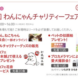 保護猫譲渡会Cat'seye船橋会場 サムネイル2