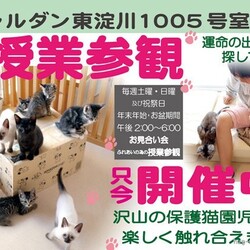 ■お見合い会(予約制)＆ふれあい授業参観■新大阪■