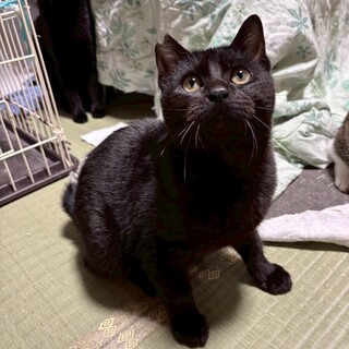 甘える顔が可愛いモグくん