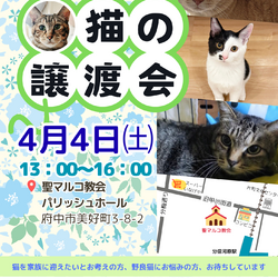 ４月４日（土）「保護猫の譲渡会」開催します！