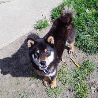 シャイで小柄なワンパクボーイ☁雷太くん