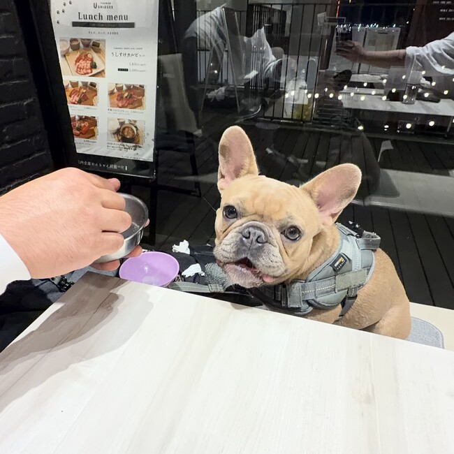 ゆーうーりーのカバー写真