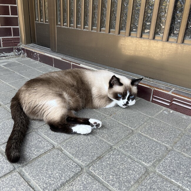 myn21のカバー写真