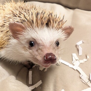 ご飯くれ〜〜〜