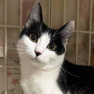 上級者向け！可愛いけどデンジャラスな美幸ちゃん