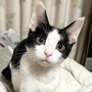 添い寝大好き！甘えんぼな蒼生くん