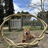 うぃんなあ