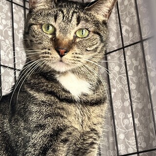 ビーツ：好奇心旺盛！やんちゃな女の子