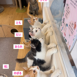 「おもちゃの時間、おしまいだよ」のはずが...