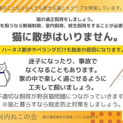 猫ともクラブin富田林 サムネイル2
