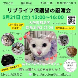 LiveLife譲渡会inキャットソシオンギャラリー