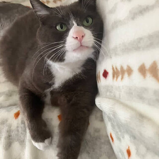 生きる事を諦めなかった心優しいおだみょん