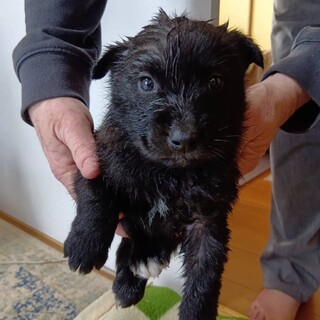 遊ぶの大好きコーヒーゼリーくん