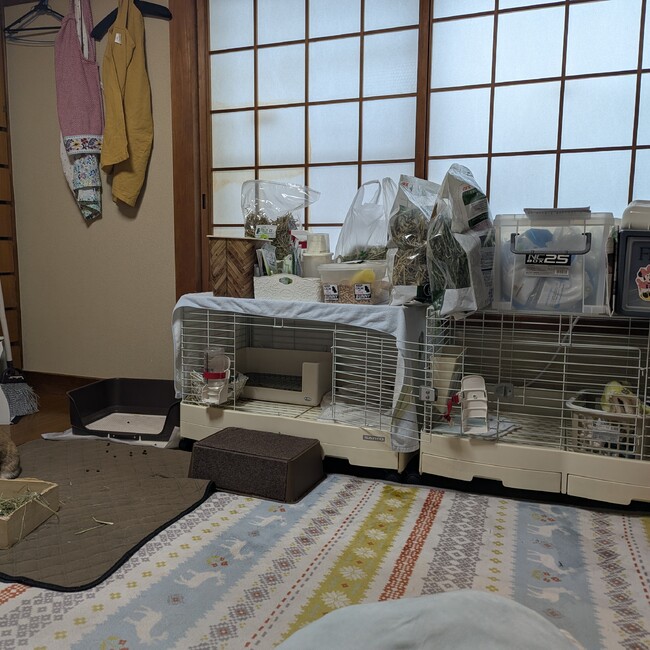 フーウェイのカバー写真