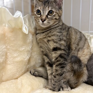 幸せになりたくて熊本から飛んできました