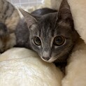 調整中のため、一旦ストップにてお願いします